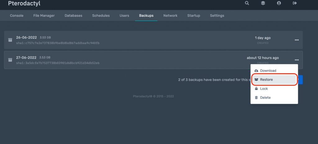 How are server backups made?