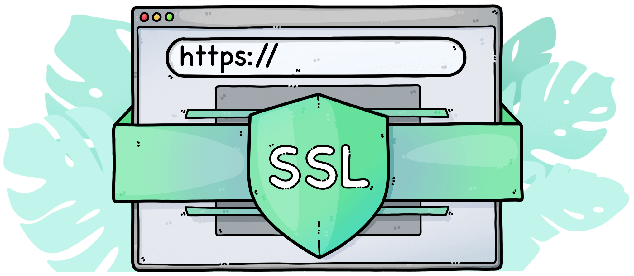 ssl